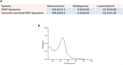 Curcumin/Liposome Nanotechnology as Delivery Platform for Anti-inflammatory Activities via NFkB/ERK/pERK Pathway in Human Dental Pulp Treated With 2-HydroxyEthyl MethAcrylate (HEMA)